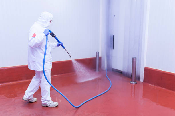 Pre-Holiday Cleaning in Deland Southwest, FL